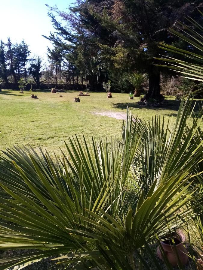 مبيت وإفطار بييسْتوم Mamena المظهر الخارجي الصورة