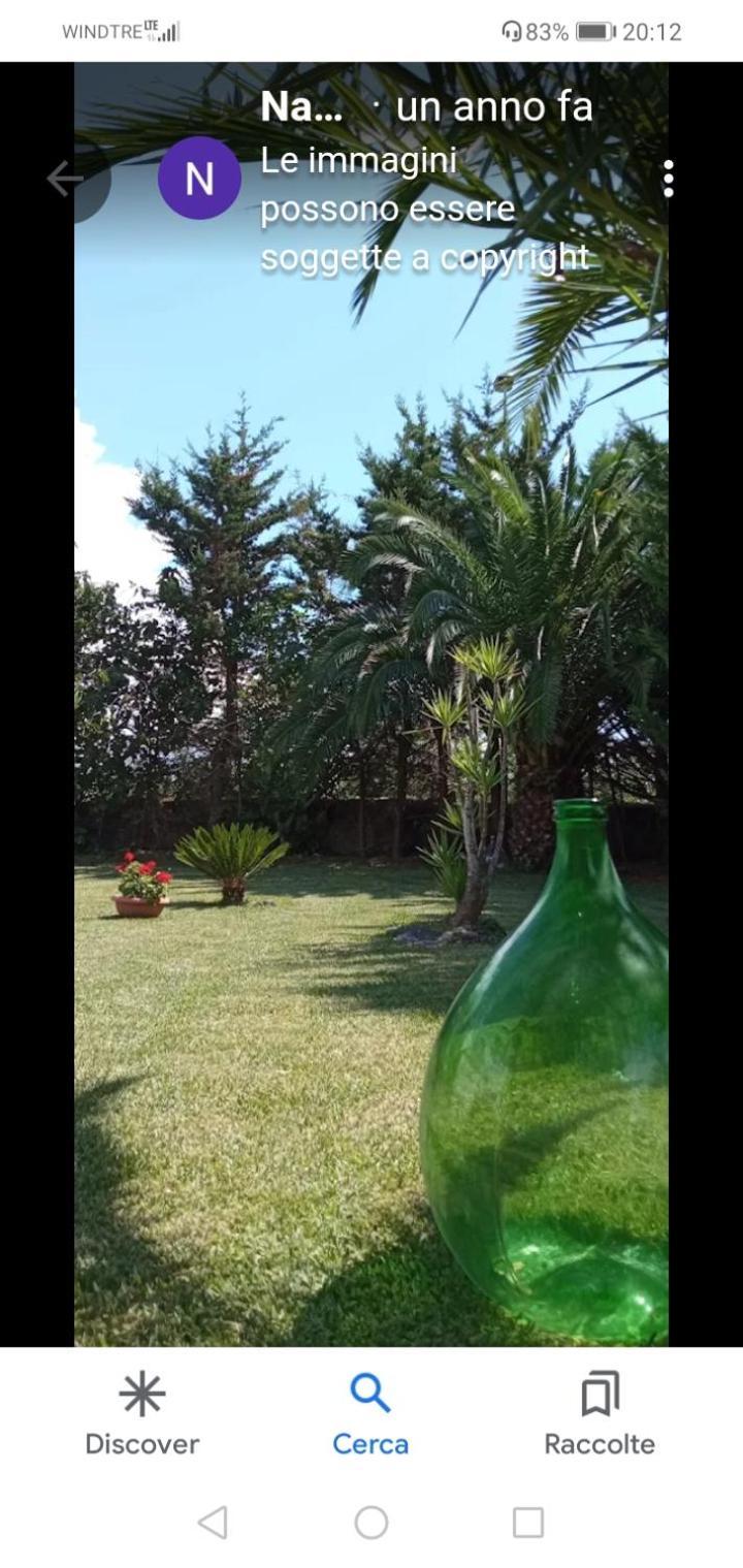 مبيت وإفطار بييسْتوم Mamena المظهر الخارجي الصورة